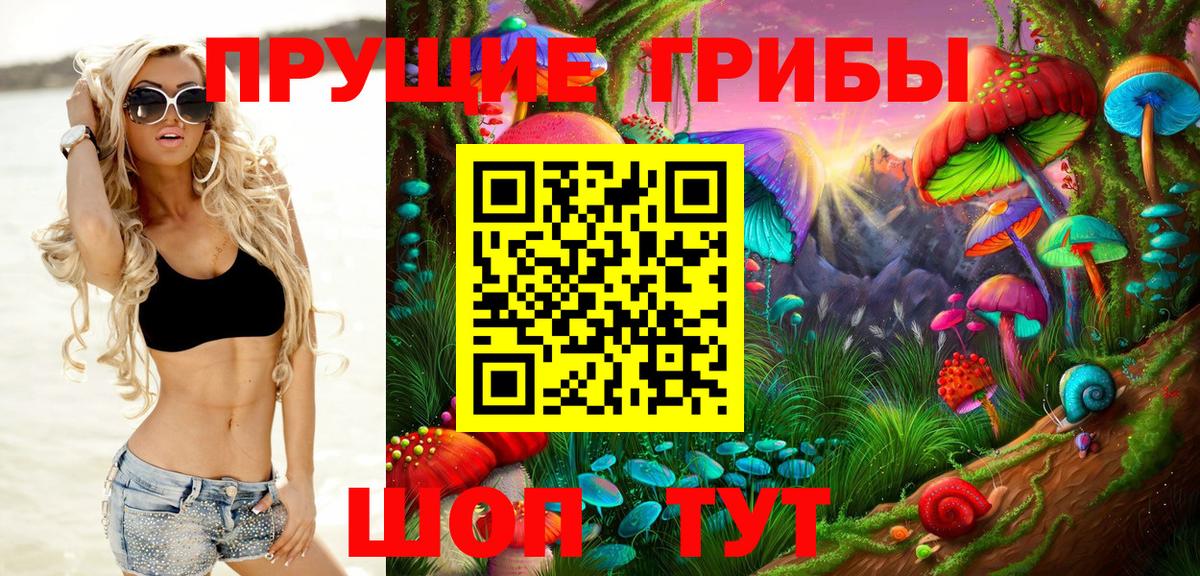 Галлюциногенные грибы Cubensis Павловский Посад